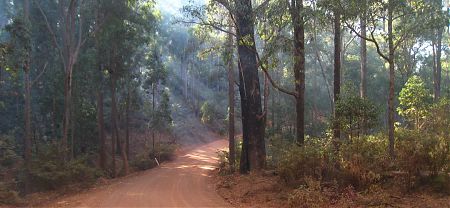bike touring, Nanga, Munda Biddi Trail, Western Australia