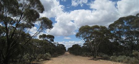bike touring, Parmango Road, south coast Western Australia