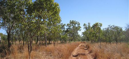 epic bike trek, Dingo Yard, Gregory National Park, Northern Territory