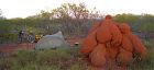 budget accommodation, Broome, Western Australia