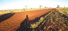 off road bike touring, Tanami Track, Western Australia