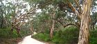 off road bike touring, Leeuwin Naturaliste National Park, Western Australia
