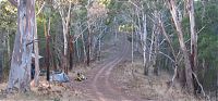 tent, Cudlee Creek, Mawson Trail, South Australia
