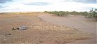 free bush camping at Duff Creek, Oodnadatta Track, South Australia