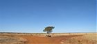 Buntine Highway, Northern Territory